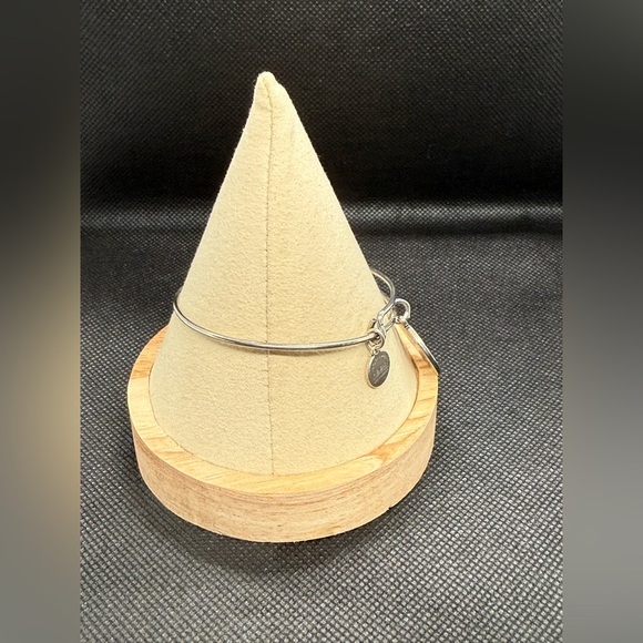 Alex and Ani Silver Charm Bracelet ‘Because I Love You’ - Picture 6 of 8